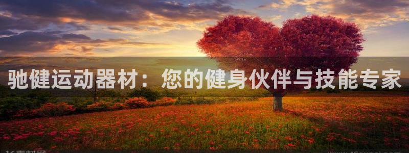 意昂体育4平台假的吗是真的吗:驰健运动器材:您的健身伙伴与技