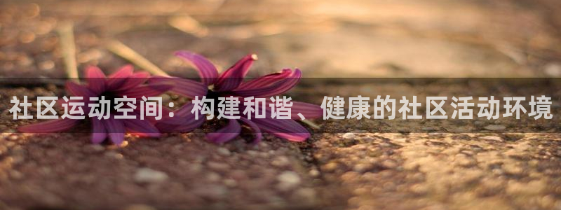 意昂4娱乐下载:社区运动空间:构建和谐、健康的社区活动环境
