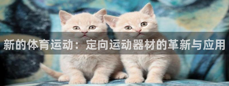 意昂体育4招商电话是多少号码:新的体育运动:定向运动器材的革