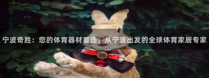 意昂4娱乐下载:宁波奇胜:您的体育器材首选,从宁波出发的全球