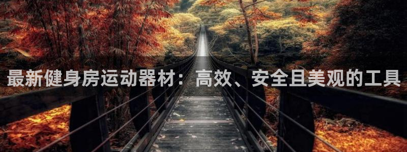 意昂4娱乐40996:最新健身房运动器材:高效、安全且美观的